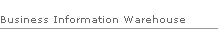 Business Information Warehouse