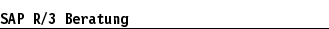SAP R/3 Beratung